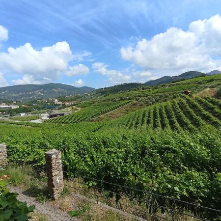 Al Vigneto Sestri Levante Exterior foto