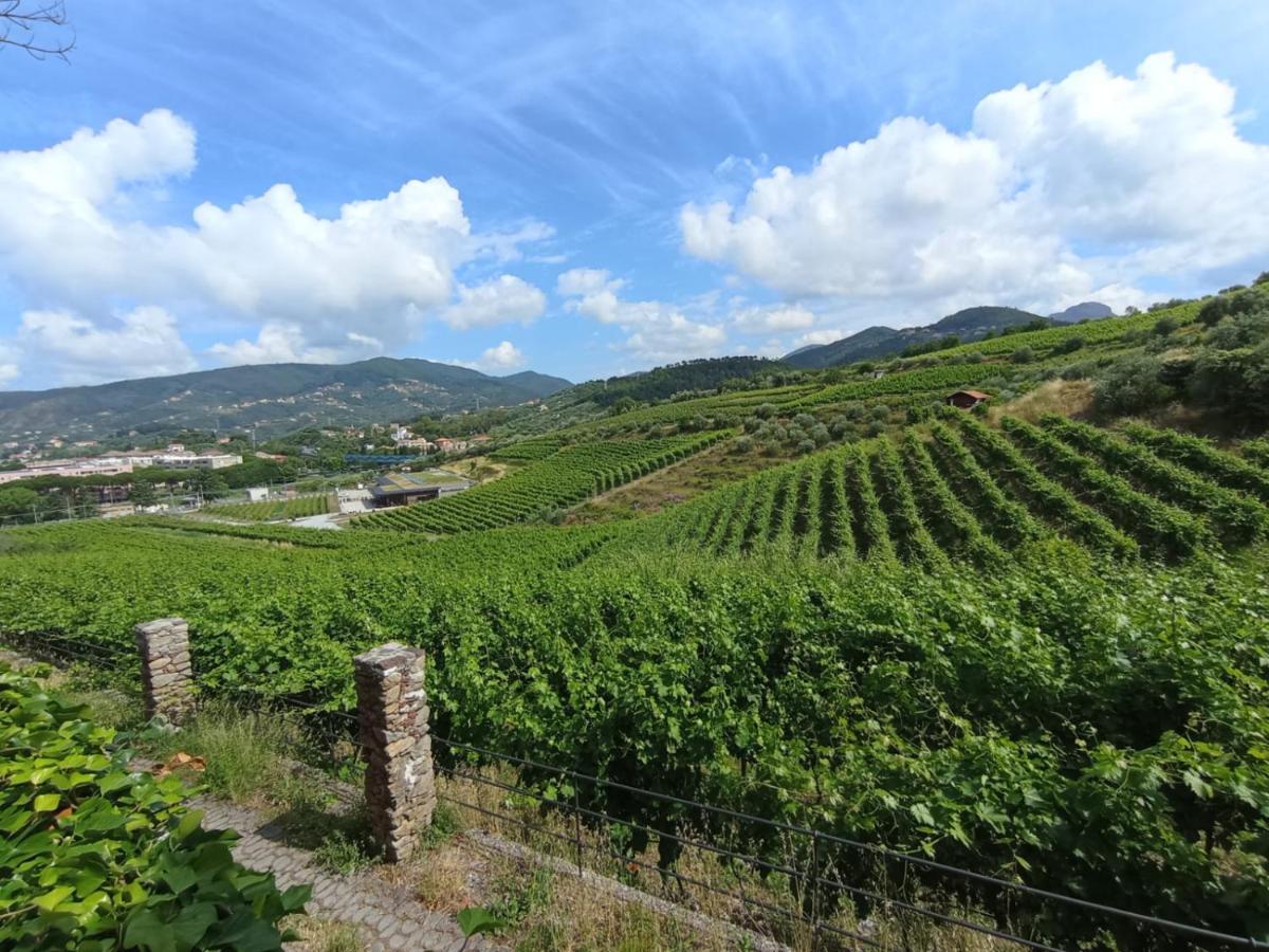 Al Vigneto Sestri Levante Exterior foto