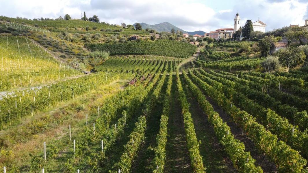 Al Vigneto Sestri Levante Exterior foto
